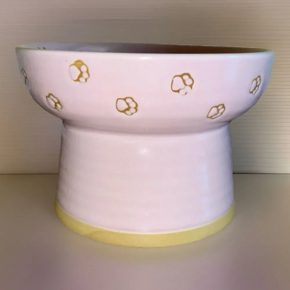 Cat Food Water Bowl Elevated Pedestal Raised Pink Dish Ceramic Blue Sky
